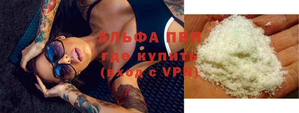 винт Гатчина