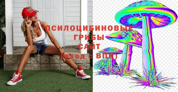 герыч Покровск
