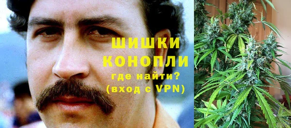 винт Гатчина