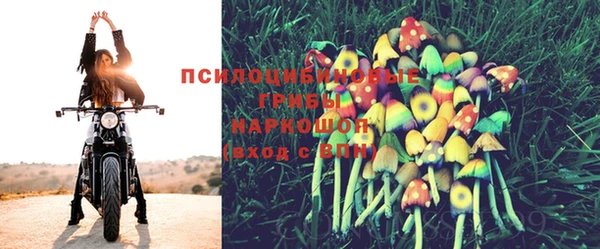 метамфетамин Покачи