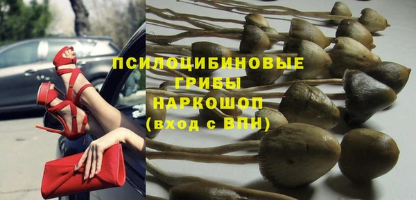 метамфетамин Покачи