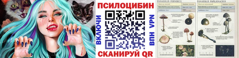 Галлюциногенные грибы Psilocybe  что такое наркотик  Разумное 
